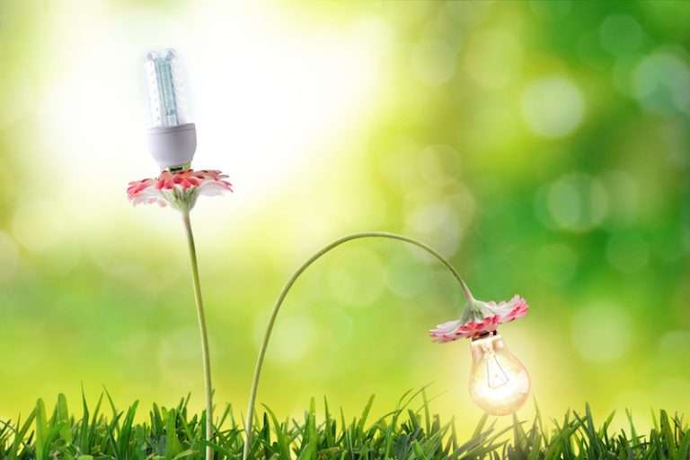 Energy efficiency lighting bulbs environmental conservation